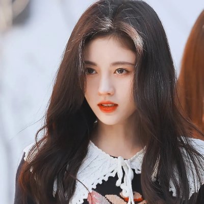 献给阿尔吉侬的花束