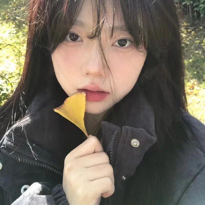 致亲爱的孤独者